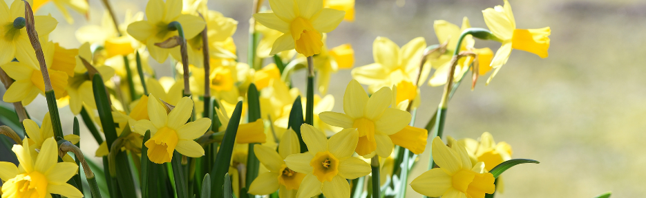 Invaru esindused on 1. mail suletud